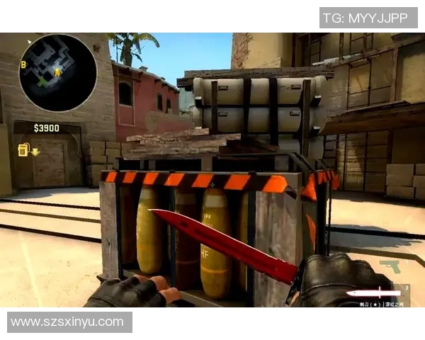 深入分析BLG战队在CSGO比赛中的进攻策略与战术布局