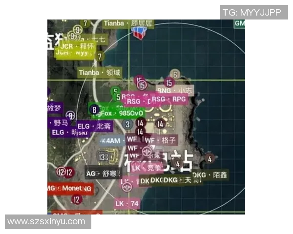 esports最新数据和平精英战术分析RNG团队防反策略的深度解读与应用